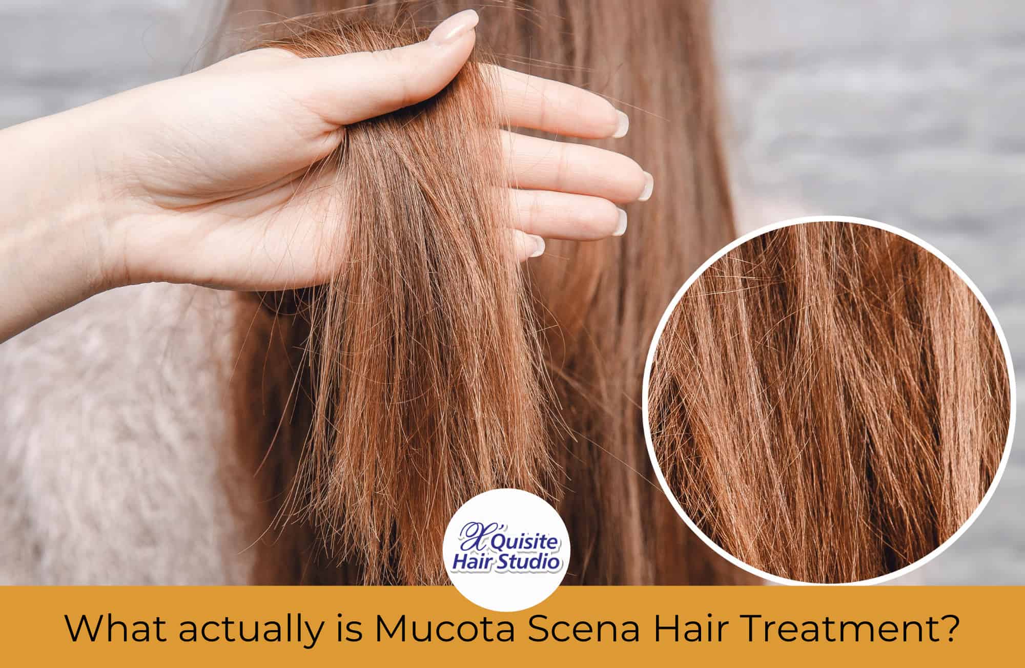 Mucota Hair Treatment Singapore – S$168 nett (2023 Promotion) – Xquisite  Hair Studio